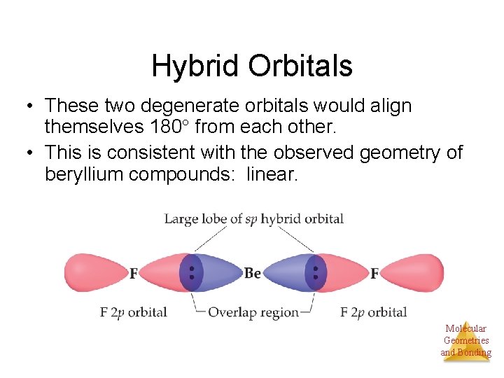 Hybrid Orbitals • These two degenerate orbitals would align themselves 180 from each other.