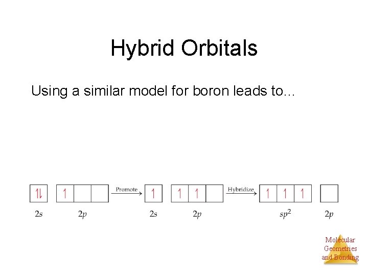 Hybrid Orbitals Using a similar model for boron leads to… Molecular Geometries and Bonding