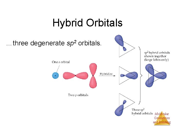 Hybrid Orbitals …three degenerate sp 2 orbitals. Molecular Geometries and Bonding 