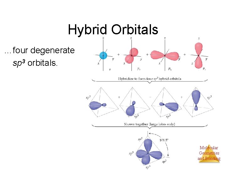 Hybrid Orbitals …four degenerate sp 3 orbitals. Molecular Geometries and Bonding 