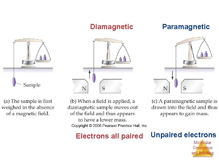 Diamagnetic Electrons all paired Paramagnetic Unpaired electrons Molecular Geometries and Bonding 