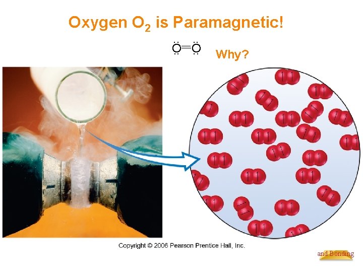 Oxygen O 2 is Paramagnetic!. . O. . Why? Molecular Geometries and Bonding 