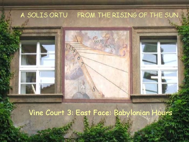 A SOLIS ORTU FROM THE RISING OF THE SUN VC 3 E Babylonian Vine