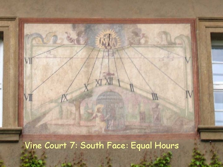 VC 7 S Equal Vine Court 7: South Face: Equal Hours 