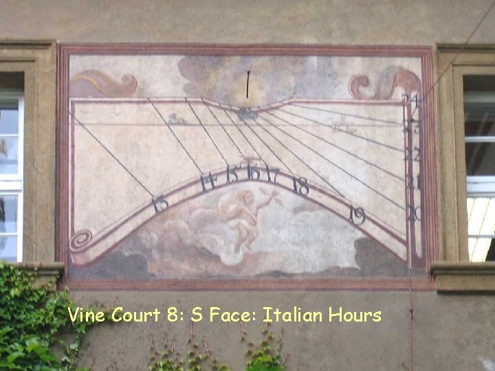 VC 8 S Italian Vine Court 8: S Face: Italian Hours 