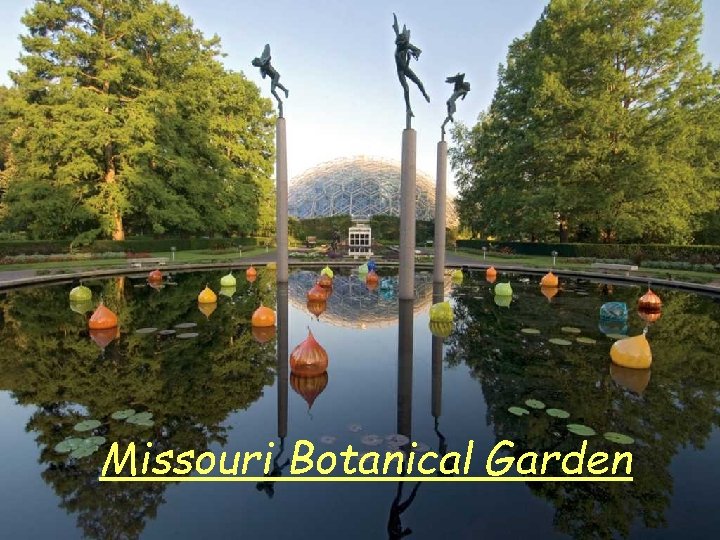 Missouri Botanical Garden 