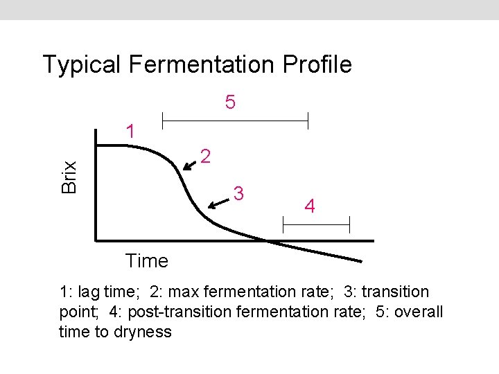 Typical Fermentation Profile 5 1 Brix 2 3 4 Time 1: lag time; 2: