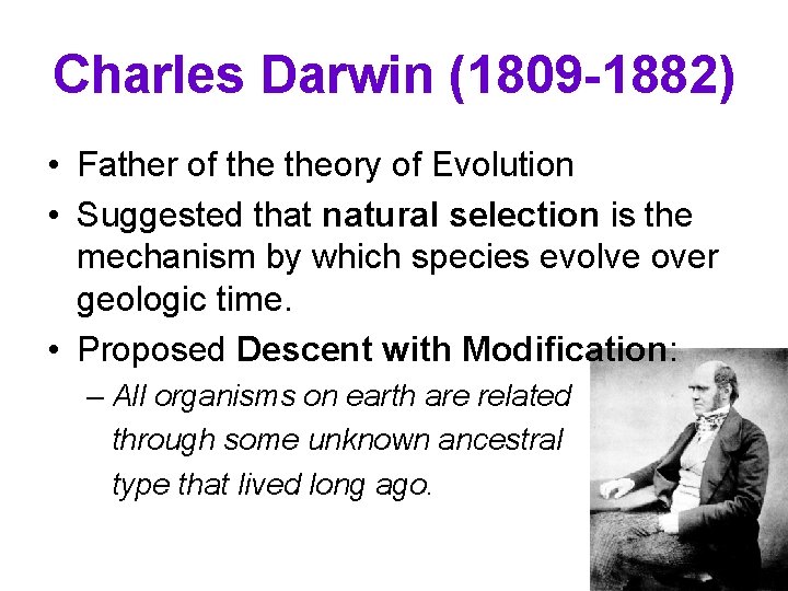 Charles Darwin (1809 -1882) • Father of theory of Evolution • Suggested that natural