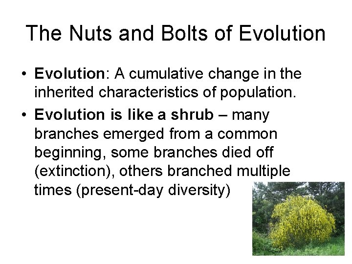 The Nuts and Bolts of Evolution • Evolution: A cumulative change in the inherited