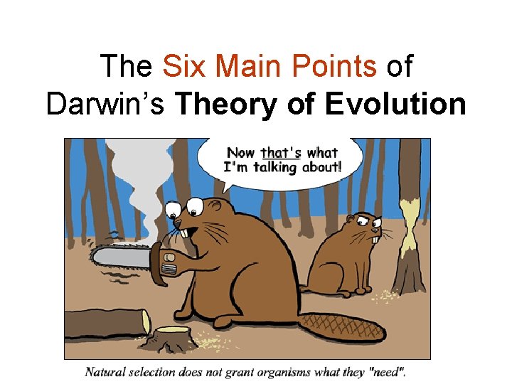 The Six Main Points of Darwin’s Theory of Evolution 