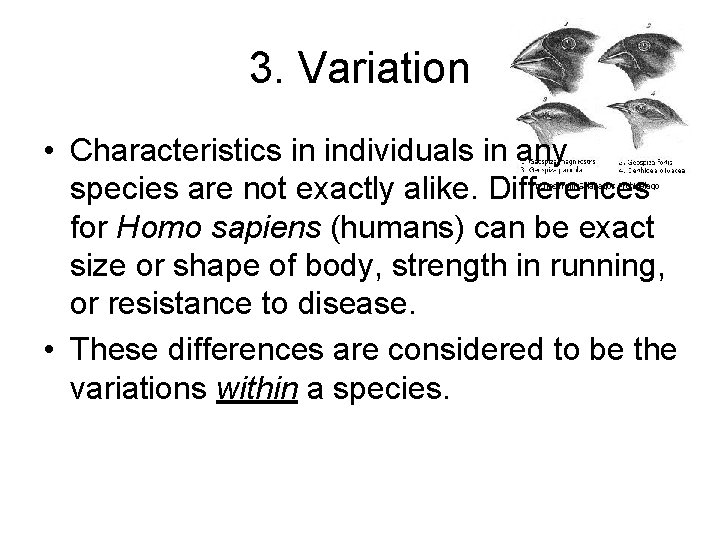 3. Variation • Characteristics in individuals in any species are not exactly alike. Differences