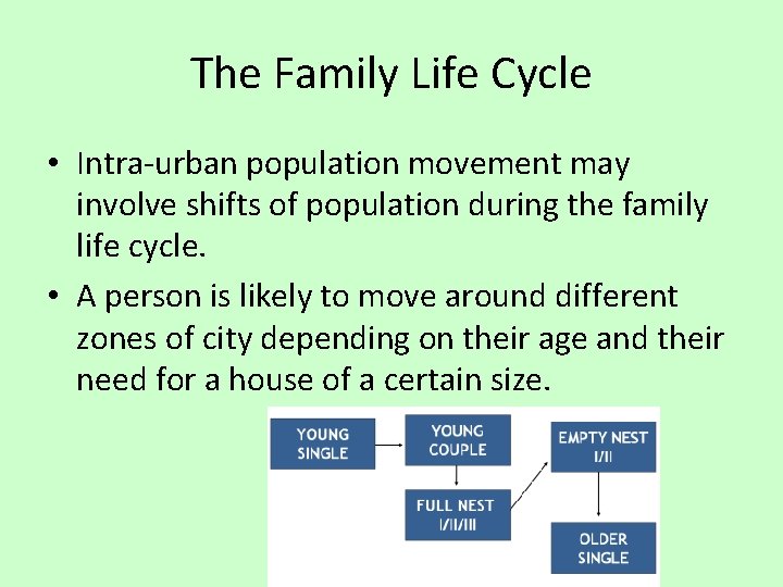 The Family Life Cycle • Intra-urban population movement may involve shifts of population during