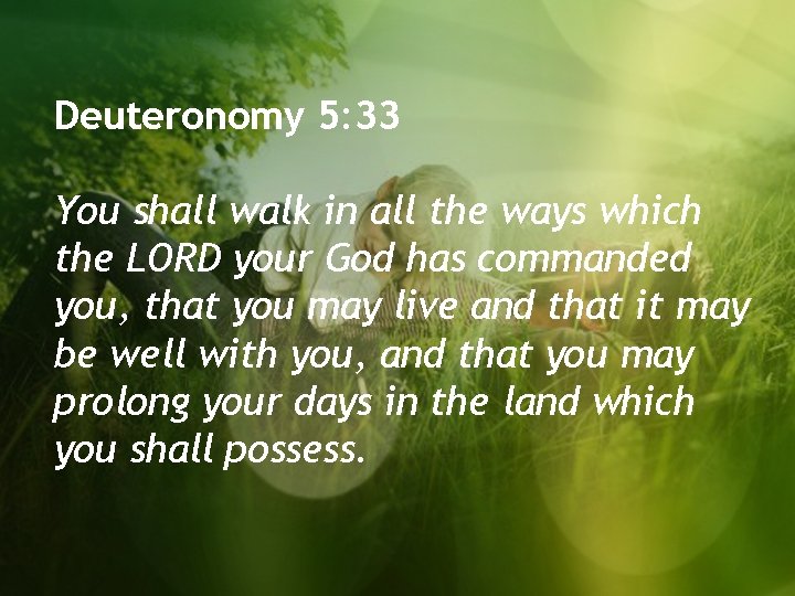 Deuteronomy 5: 33 You shall walk in all the ways which the LORD your