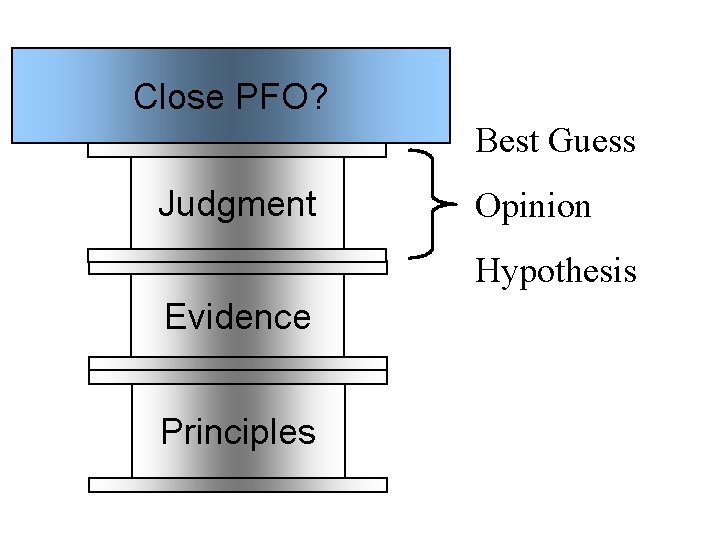 Close PFO? Best Guess Judgment Opinion Hypothesis Evidence Principles 