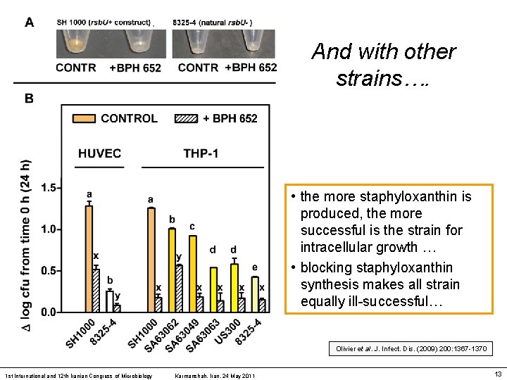 And with other strains…. • the more staphyloxanthin is produced, the more successful is