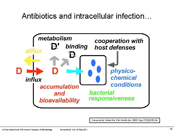 Antibiotics and intracellular infection… Carryn et al. Infect Dis Clin North Am. 2003 Sep;