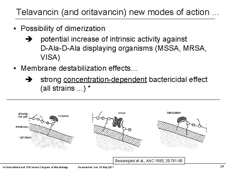 Telavancin (and oritavancin) new modes of action … • Possibility of dimerization potential increase