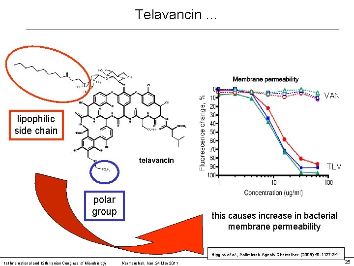 Telavancin … VAN lipophilic side chain TLV polar group this causes increase in bacterial