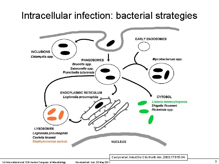 Intracellular infection: bacterial strategies Carryn et al. Infect Dis Clin North Am. 2003; 17: