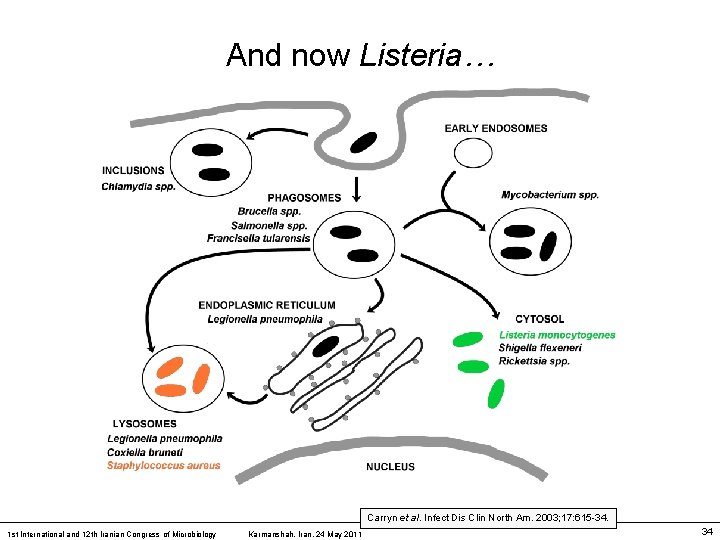 And now Listeria… Carryn et al. Infect Dis Clin North Am. 2003; 17: 615