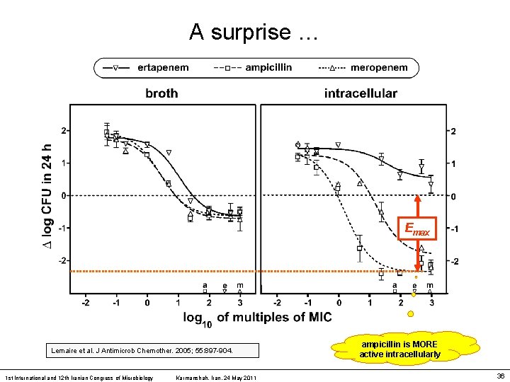 A surprise … Emax Lemaire et al. J Antimicrob Chemother. 2005; 55: 897 -904.