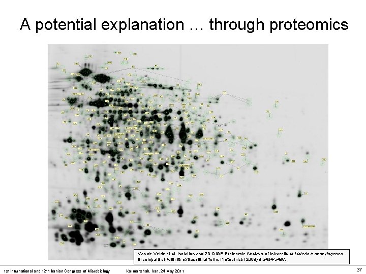 A potential explanation … through proteomics Van de Velde et al. Isolation and 2