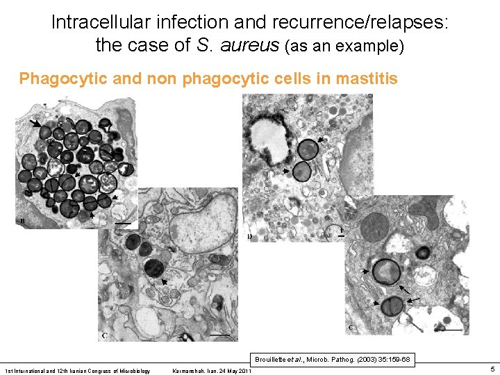 Intracellular infection and recurrence/relapses: the case of S. aureus (as an example) Phagocytic and