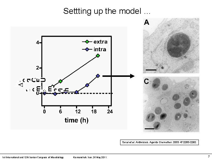 Settting up the model … Seral et al. Antimicrob. Agents Chemother. 2003 47: 2283