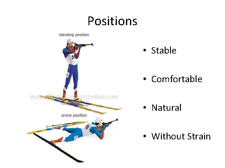 Positions • Stable • Comfortable • Natural • Without Strain 