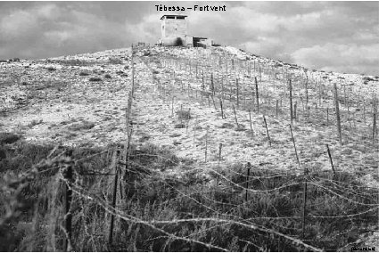 Tébessa – Fort vent (Béret Bleu) 