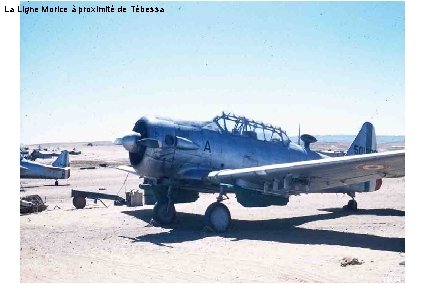 La Ligne Morice à proximité de Tébessa (ECPA) 