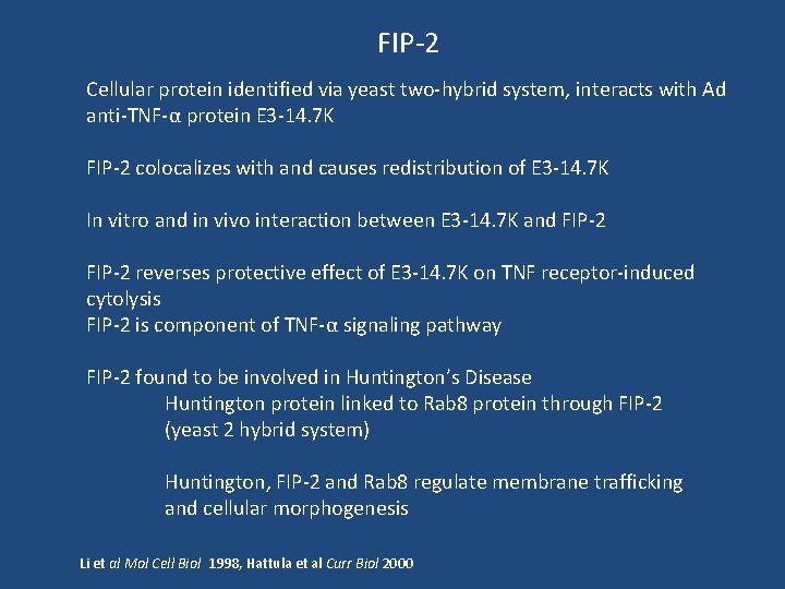 FIP-2 Cellular protein identified via yeast two-hybrid system, interacts with Ad anti-TNF-α protein E