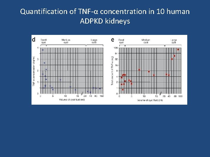 Quantification of TNF-α concentration in 10 human ADPKD kidneys 