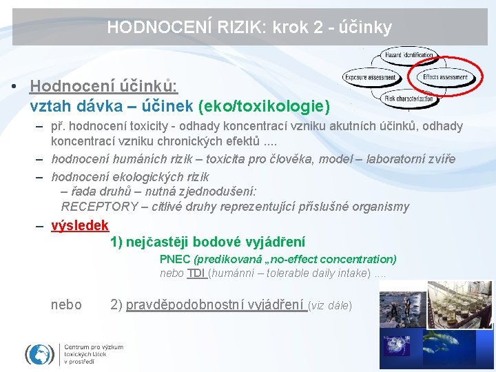 HODNOCENÍ RIZIK: krok 2 - účinky • Hodnocení účinků: vztah dávka – účinek (eko/toxikologie)