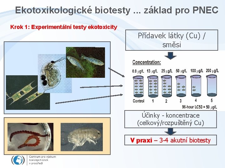 Ekotoxikologické biotesty. . . základ pro PNEC Krok 1: Experimentální testy ekotoxicity Přídavek látky
