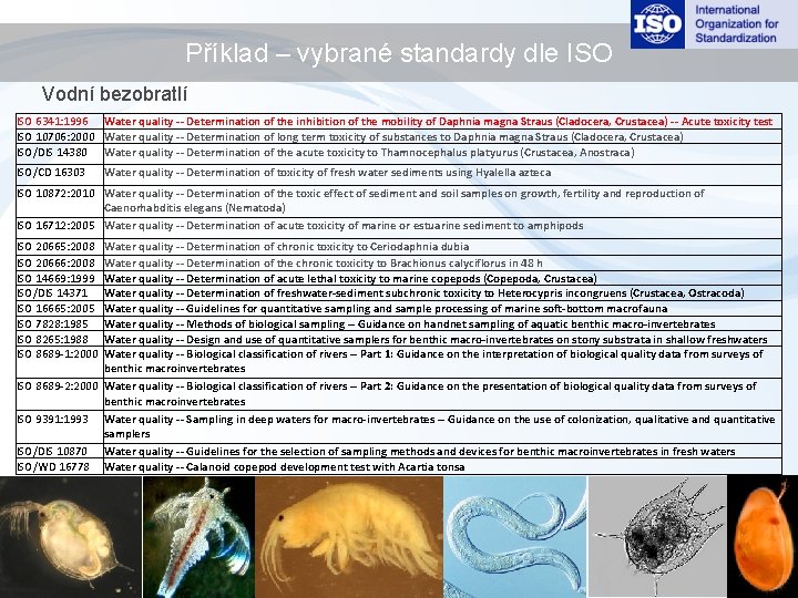 Příklad – vybrané standardy dle ISO Vodní bezobratlí ISO 6341: 1996 Water quality --