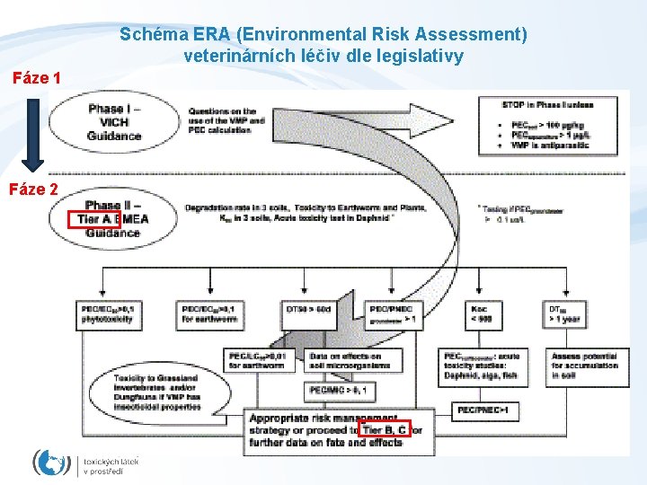 Schéma ERA (Environmental Risk Assessment) veterinárních léčiv dle legislativy Fáze 1 Fáze 2 