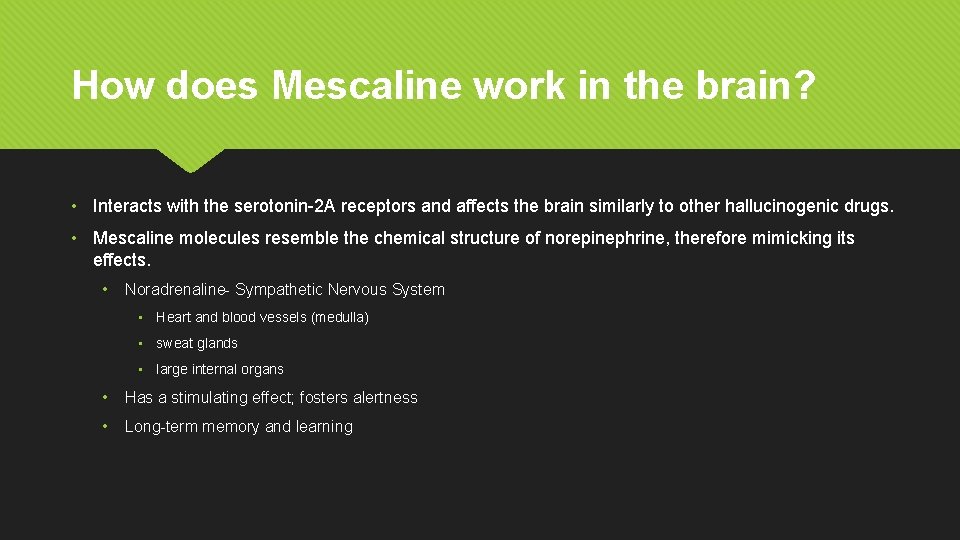 How does Mescaline work in the brain? • Interacts with the serotonin-2 A receptors