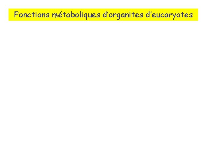 Fonctions métaboliques d’organites d’eucaryotes 