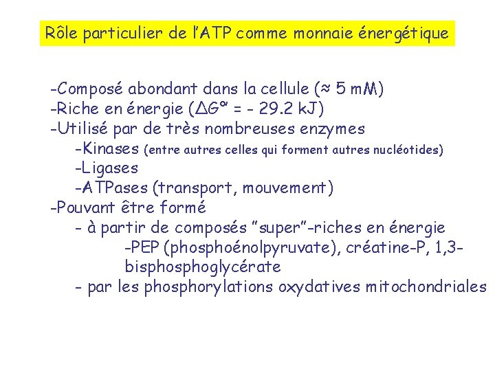 Rôle particulier de l’ATP comme monnaie énergétique -Composé abondant dans la cellule (≈ 5