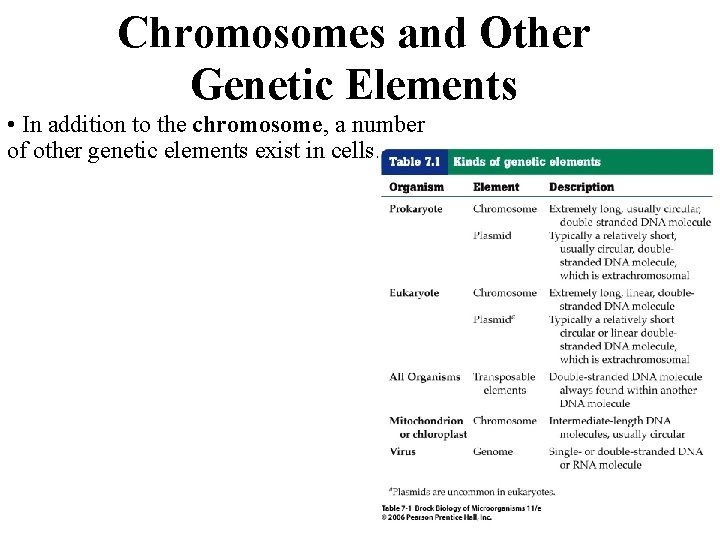 Chromosomes and Other Genetic Elements • In addition to the chromosome, a number of