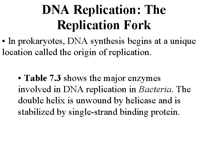 DNA Replication: The Replication Fork • In prokaryotes, DNA synthesis begins at a unique