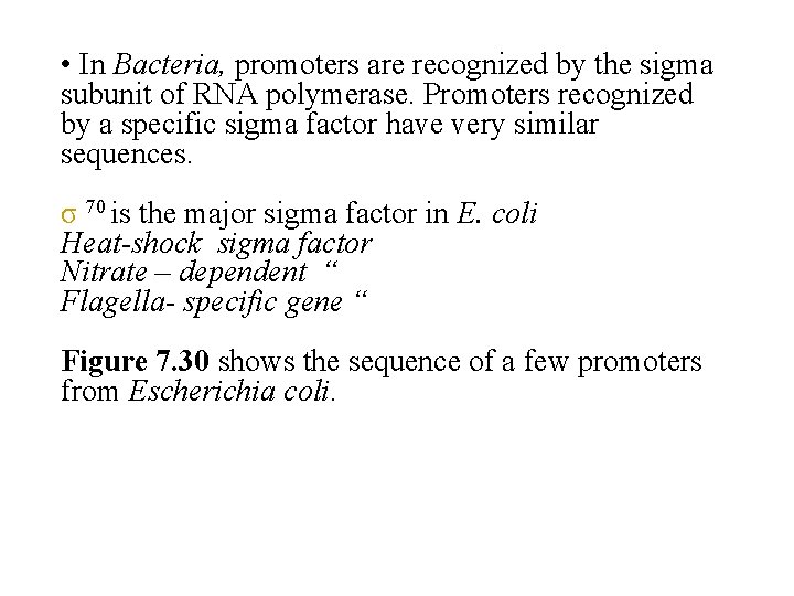  • In Bacteria, promoters are recognized by the sigma subunit of RNA polymerase.