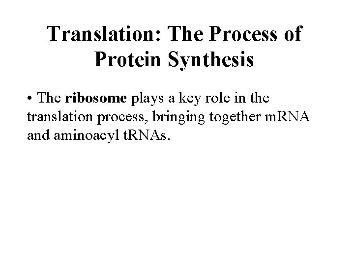 Translation: The Process of Protein Synthesis • The ribosome plays a key role in