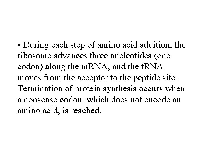  • During each step of amino acid addition, the ribosome advances three nucleotides