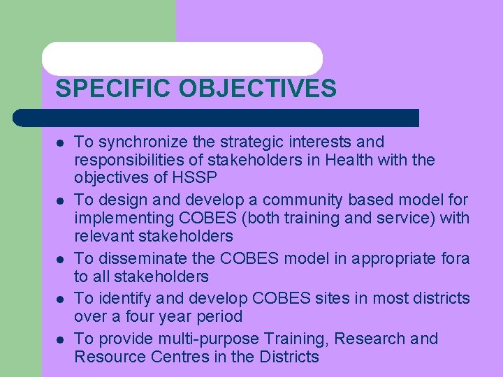 SPECIFIC OBJECTIVES l l l To synchronize the strategic interests and responsibilities of stakeholders