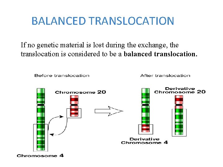 BALANCED TRANSLOCATION If no genetic material is lost during the exchange, the translocation is