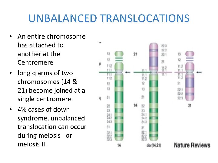 UNBALANCED TRANSLOCATIONS • An entire chromosome has attached to another at the Centromere •