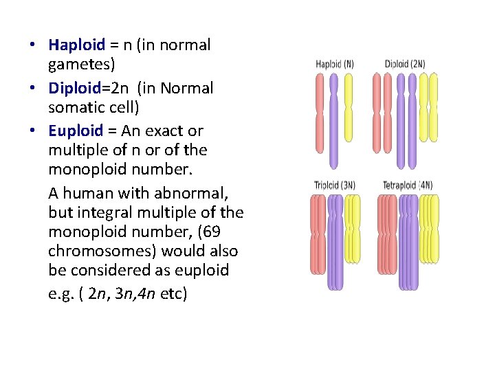  • Haploid = n (in normal gametes) • Diploid=2 n (in Normal somatic