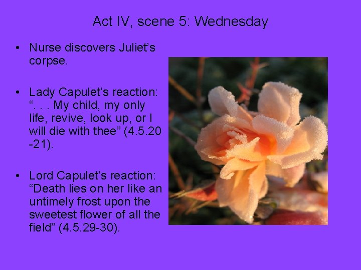 Act IV, scene 5: Wednesday • Nurse discovers Juliet’s corpse. • Lady Capulet’s reaction: